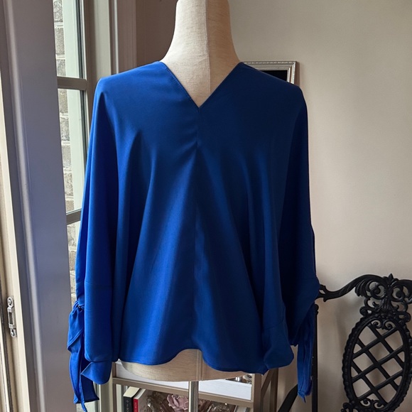 Zara Cobalt Blue V-Neck Blouse - Picture 5 of 6